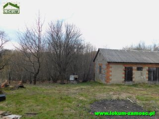 Udrycze Wola