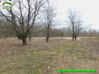 Udrycze Wola