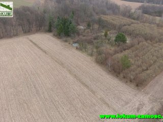 Udrycze Wola