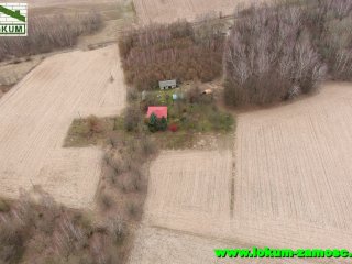 Udrycze Wola