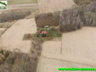 Udrycze Wola