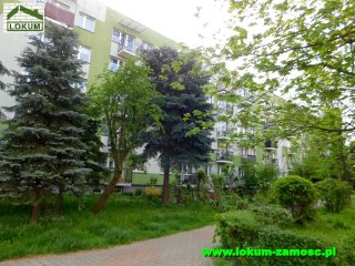 Oboźna 00029