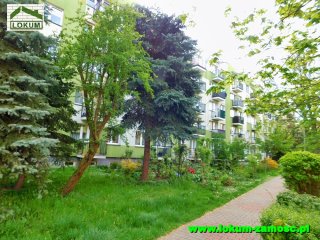 Oboźna 00029