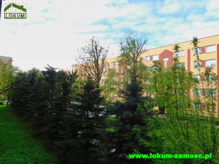Oboźna 00029