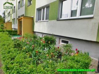 Oboźna 00029