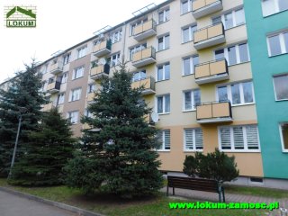 kawalerka Orzeszkowej