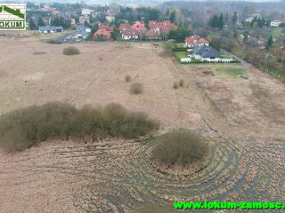skokówka nr 3