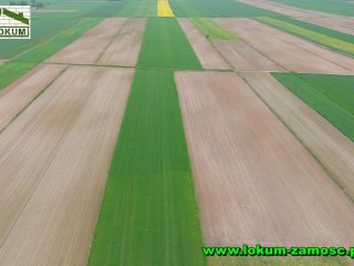 DOM  NIEWIRKÓW-KOLONIA