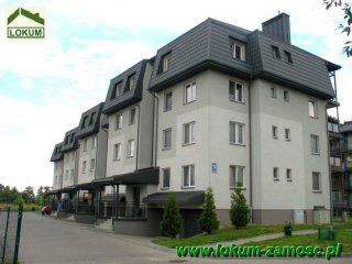 Traugutta