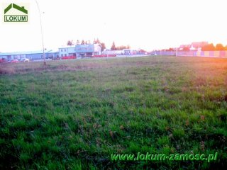 1,76ha Sitaniec Błonie