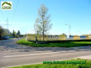 1,76ha Sitaniec Błonie