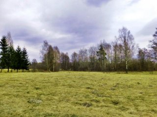Jędrzejówka
