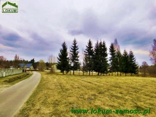 Jędrzejówka