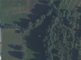 Jędrzejówka