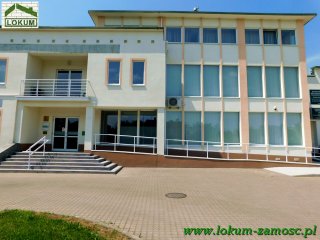 Duży lokal do wynajęcia, Zamość ul. Odrodzenia