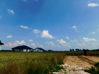 Wolka Panieńska nr 8