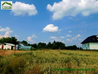 Wolka Panieńska nr 8