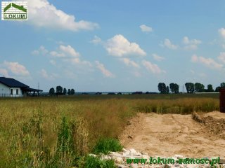 Wolka Panieńska nr 8