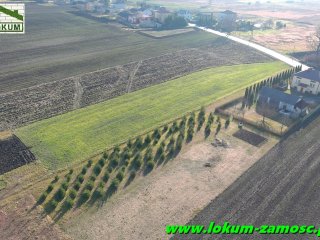 Łabunie  kościelna