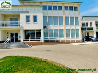 Duży lokal do wynajęcia, Zamość ul. Odrodzenia