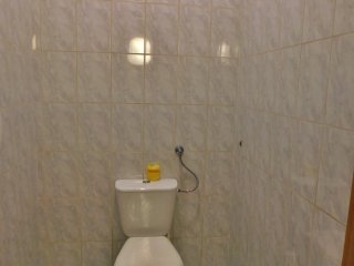 Duży lokal do wynajęcia, Zamość ul. Odrodzenia