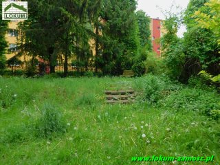 Peowiaków 0044