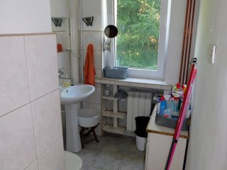 wynajem Kosynierów