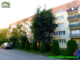 Ciepła