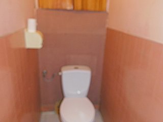 Ciepła