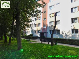 Ciepła